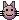Chat :cat: